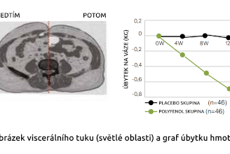 Jablečné polyfenoly a 7 jedinečných benefitů pro každého