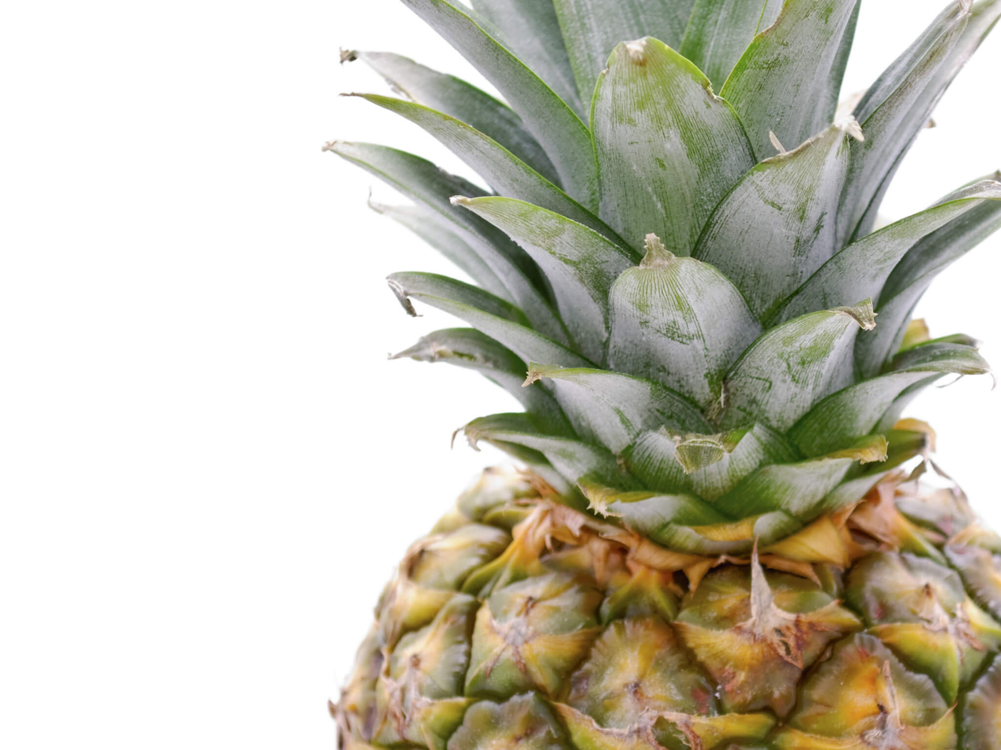 Bromelain - zázračný enzym skrytý v ananasu
