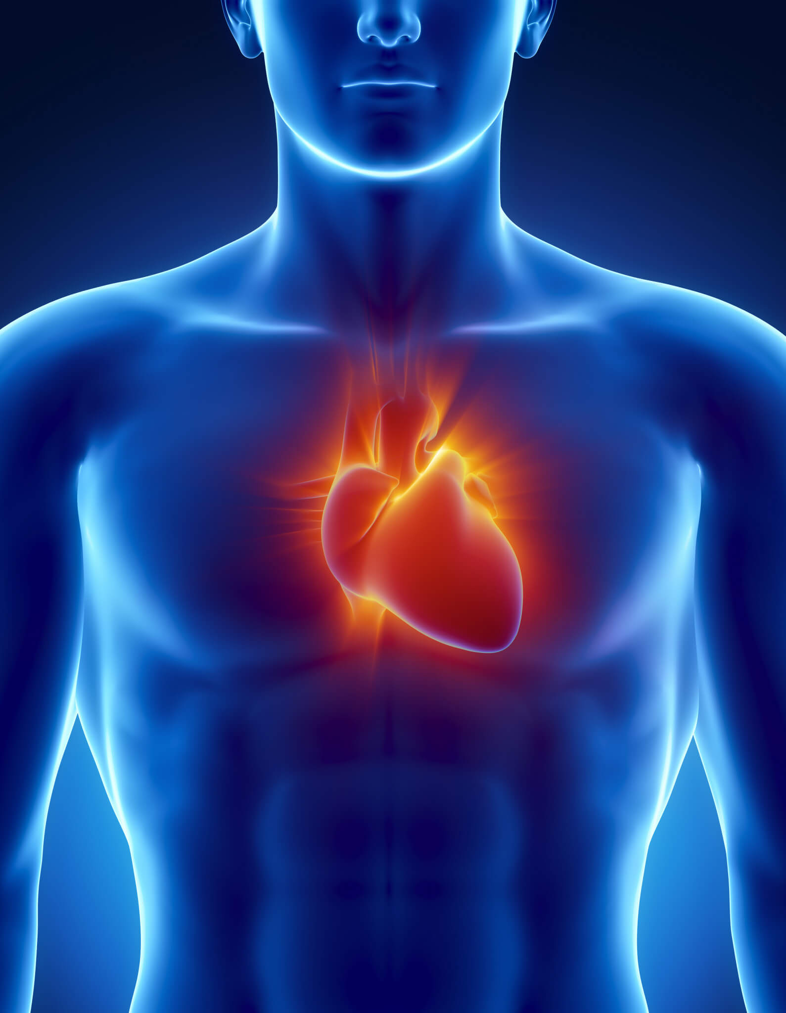 Podpořte zdraví svého srdce: 1. část: nejčastější kardiovaskulární onemocnění