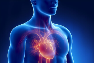 Podpořte zdraví svého srdce: 2. část: Multivitamin a multiminerál jako základ