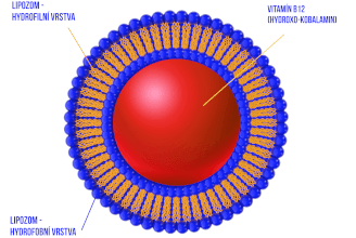 Lipozomy = revoluce v užívání vitamínů a minerálů