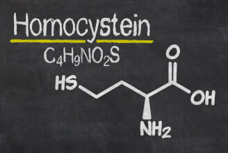Homocystein – málo známá látka, která může škodit při vysokoproteinové dietě, díl 1.